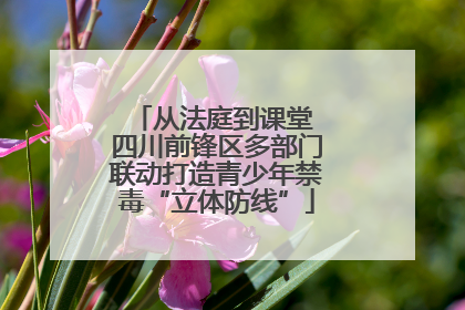 从法庭到课堂 四川前锋区多部门联动打造青少年禁毒“立体防线”