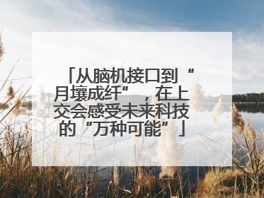 从脑机接口到“月壤成纤”，在上交会感受未来科技的“万种可能”