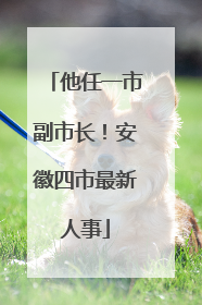 他任一市副市长！安徽四市最新人事