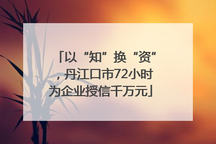 以“知”换“资”，丹江口市72小时为企业授信千万元