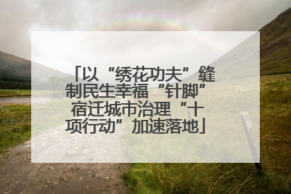 以“绣花功夫”缝制民生幸福“针脚” 宿迁城市治理“十项行动”加速落地