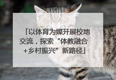 以体育为媒开展校地交流，探索“体教融合+乡村振兴”新路径