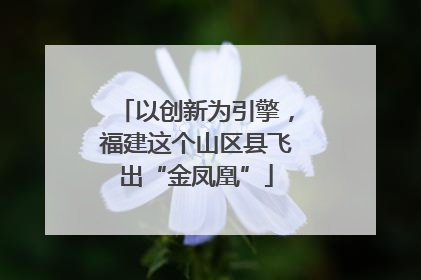 以创新为引擎，福建这个山区县飞出“金凤凰”