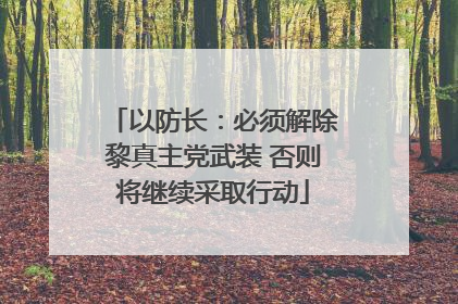 以防长：必须解除黎真主党武装 否则将继续采取行动