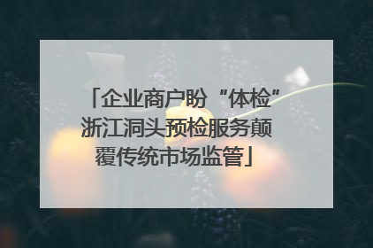 企业商户盼“体检” 浙江洞头预检服务颠覆传统市场监管