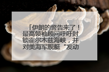 伊朗的警告来了！最高领袖顾问呼吁封锁霍尔木兹海峡，并对美海军舰艇“发动导弹袭击”