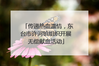 传递热血温情，东台市许河镇组织开展无偿献血活动
