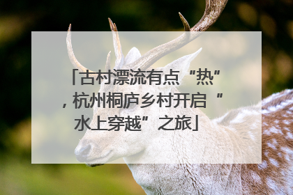 古村漂流有点“热”，杭州桐庐乡村开启“水上穿越”之旅