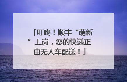 叮咚！顺丰“萌新”上岗，您的快递正由无人车配送！