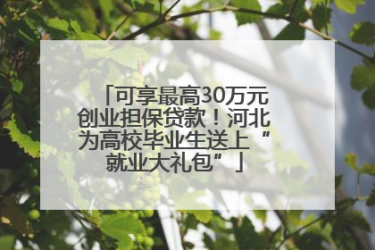 可享最高30万元创业担保贷款！河北为高校毕业生送上“就业大礼包”