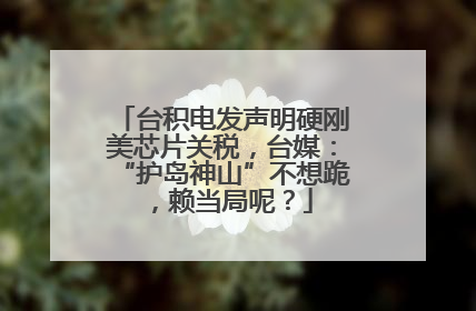 台积电发声明硬刚美芯片关税，台媒：“护岛神山”不想跪，赖当局呢？
