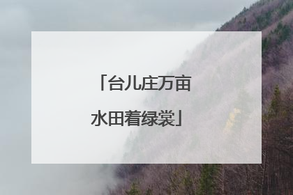 台儿庄万亩水田着绿裳