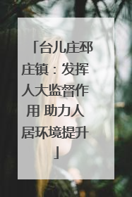 台儿庄邳庄镇：发挥人大监督作用 助力人居环境提升