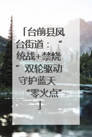 台前县凤台街道：“统战+禁烧”双轮驱动守护蓝天 “零火点”