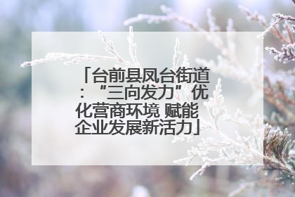 台前县凤台街道：“三向发力”优化营商环境 赋能企业发展新活力