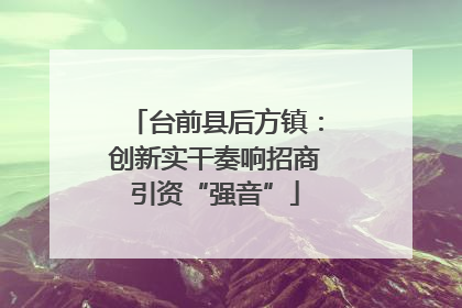 台前县后方镇：创新实干奏响招商引资“强音”