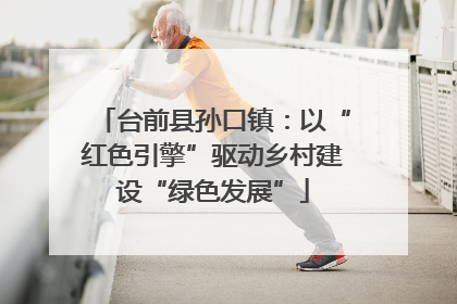 台前县孙口镇：以“红色引擎”驱动乡村建设“绿色发展”