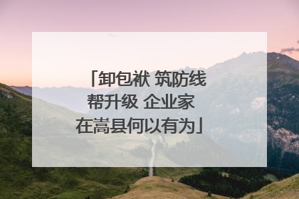 卸包袱 筑防线 帮升级 企业家在嵩县何以有为
