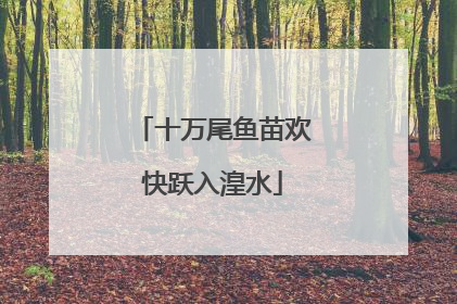 十万尾鱼苗欢快跃入湟水