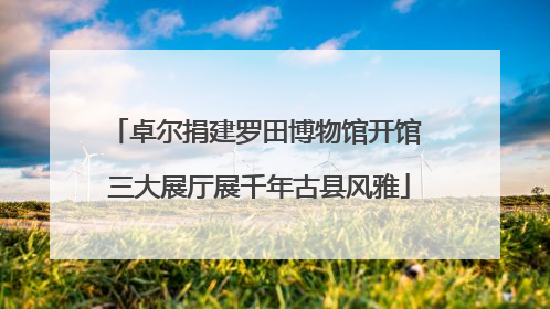 卓尔捐建罗田博物馆开馆 三大展厅展千年古县风雅