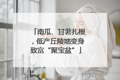 南瓜、甘薯扎根，低产丘陵地变身致富“聚宝盆”