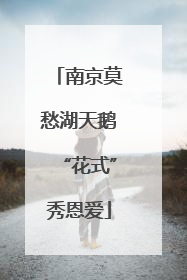 南京莫愁湖天鹅“花式”秀恩爱