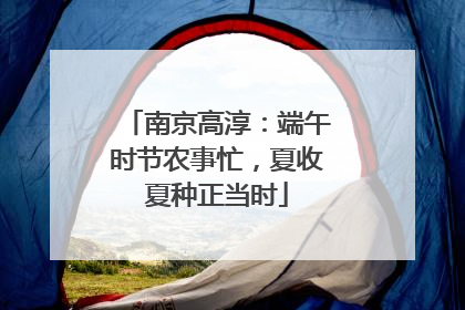 南京高淳：端午时节农事忙，夏收夏种正当时