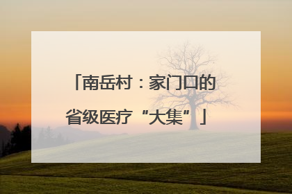 南岳村：家门口的省级医疗“大集”