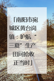 南阳市宛城区黄台岗镇：护航“三夏”生产 田间抢收正当时