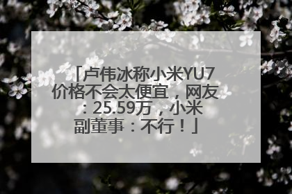 卢伟冰称小米YU7价格不会太便宜，网友：25.59万，小米副董事：不行！