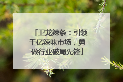 卫龙辣条：引领千亿辣味市场，勇做行业破局先锋