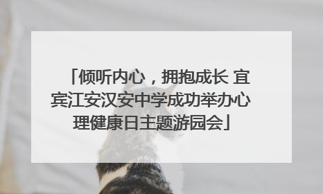 倾听内心，拥抱成长 宜宾江安汉安中学成功举办心理健康日主题游园会