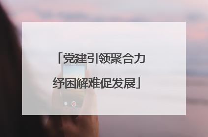 党建引领聚合力 纾困解难促发展