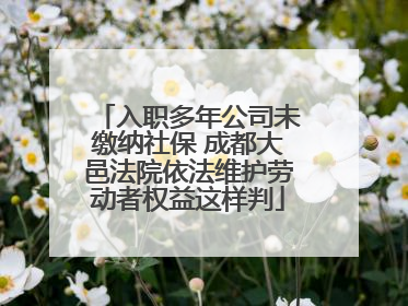 入职多年公司未缴纳社保 成都大邑法院依法维护劳动者权益这样判