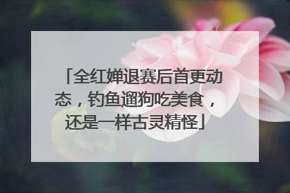 全红婵退赛后首更动态，钓鱼遛狗吃美食，还是一样古灵精怪