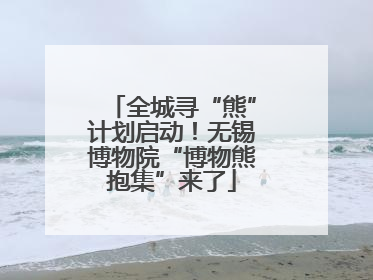 全城寻“熊”计划启动！无锡博物院“博物熊抱集”来了