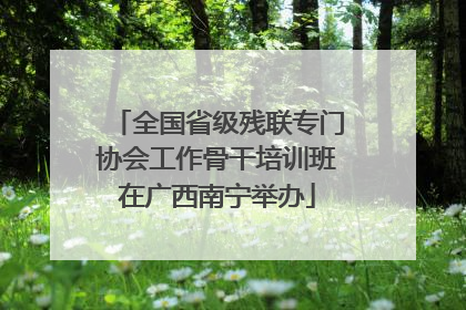 全国省级残联专门协会工作骨干培训班在广西南宁举办