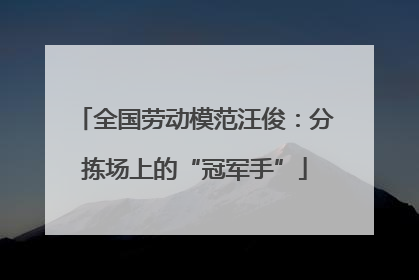 全国劳动模范汪俊：分拣场上的“冠军手”