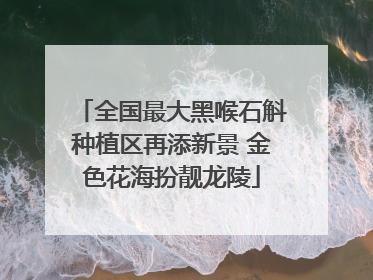 全国最大黑喉石斛种植区再添新景 金色花海扮靓龙陵