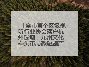 全市首个区级视听行业协会落户杭州钱塘，九州文化牵头布局微短剧产业高地