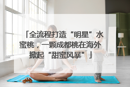 全流程打造“明星”水蜜桃，一颗成都桃在海外掀起“甜蜜风暴”