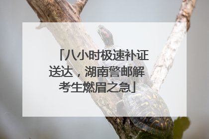 八小时极速补证送达，湖南警邮解考生燃眉之急