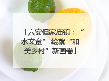 六安但家庙镇：“水文章” 绘就“和美乡村”新画卷
