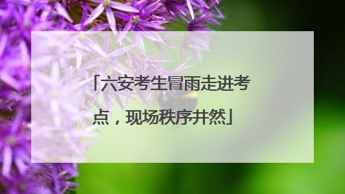 六安考生冒雨走进考点，现场秩序井然