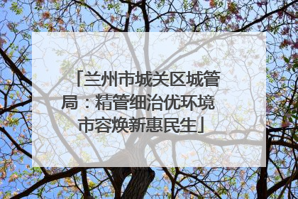 兰州市城关区城管局：精管细治优环境 市容焕新惠民生