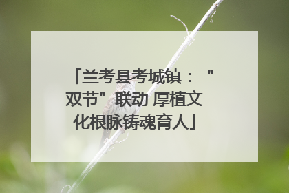 兰考县考城镇：“双节”联动 厚植文化根脉铸魂育人