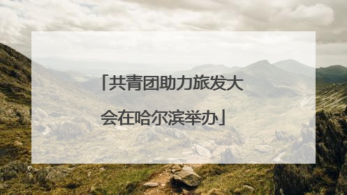 共青团助力旅发大会在哈尔滨举办