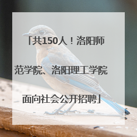 共150人！洛阳师范学院、洛阳理工学院面向社会公开招聘