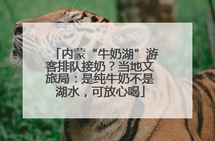 内蒙“牛奶湖”游客排队接奶？当地文旅局：是纯牛奶不是湖水，可放心喝