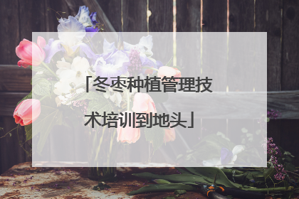 冬枣种植管理技术培训到地头